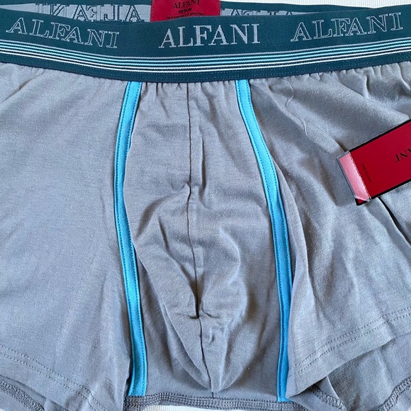 TWO PAIRS ALFANI MEN’S BRIEFS (TRUNKS) SIZE M, NEW W/ TAGS - Picture 11 of 12